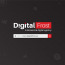 Digital Frost logo